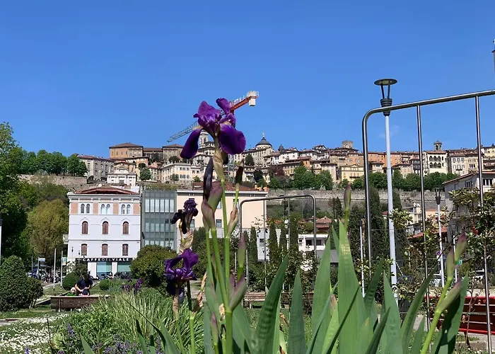 Apartament Houseberg *